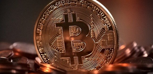 portfele kryptowalut online